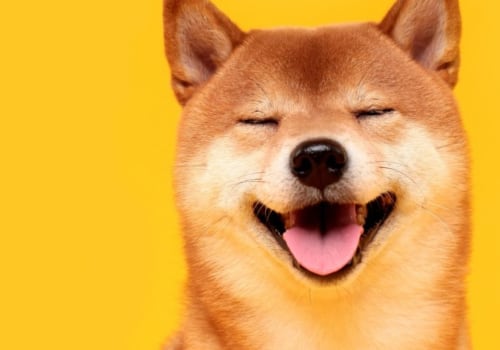 Which bitcoin wallet has dogecoin?